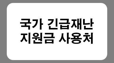 국가 긴급재난지원금 사용처