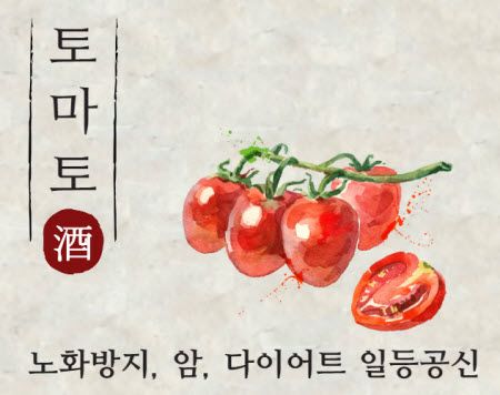 [토마토] 노화방지, 암 방지, 다이어트에 좋은 일등공신 과일