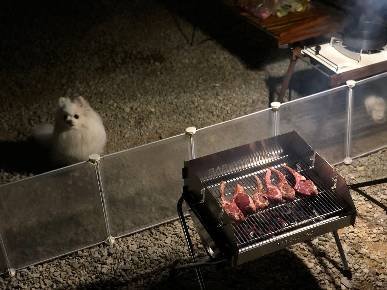 숯불에 굽고있는 코스트코 양갈비 