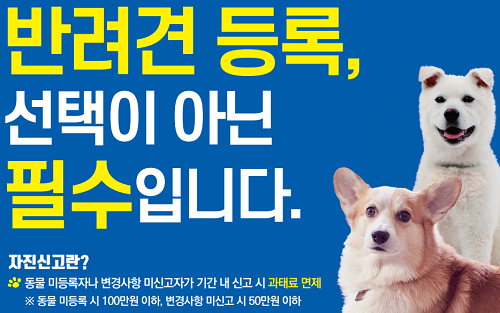 애견 강아지, 반려동물등록제도의 개념 및 의무화 시행 (마이크로칩, 외장형칩)