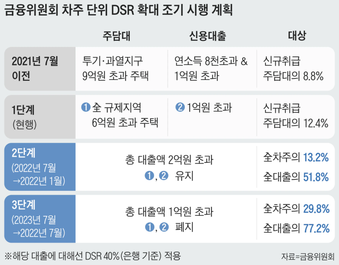 금융위원회 차주 단위 DSR 확대 조기 시행 계획
