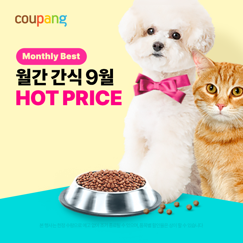 펫, 월간간식 HOT PRICE