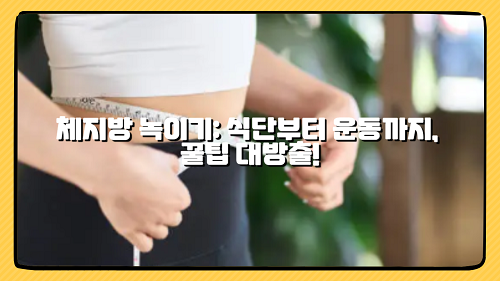 체지방 녹이기: 식단부터 운동까지, 꿀팁 대방출!