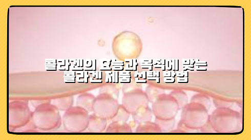 콜라겐의 효능과 목적에 맞는 콜라겐 제품 선택 방법