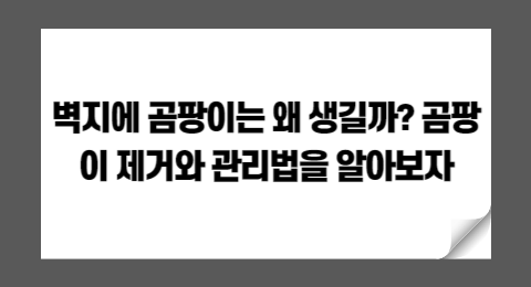 벽지에 곰팡이는 왜 생길까? 곰팡이 제거와 관리법을 알아보자