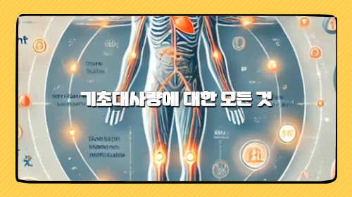 기초대사량(Basal Metabolic Rate, BMR)에 대한 모든 것