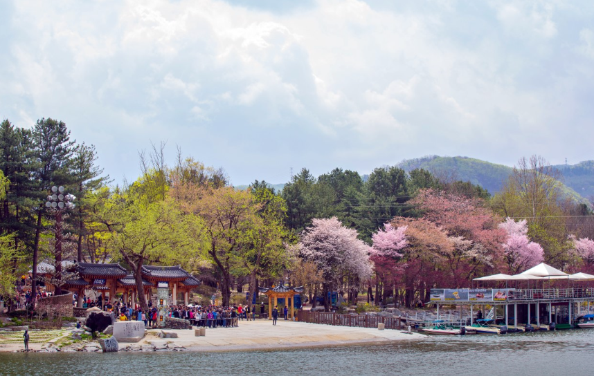 남이섬 (강원도 춘천)