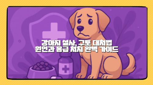 강아지 설사, 구토할 때 대처법과 원인 분석, 예방 관리 방법