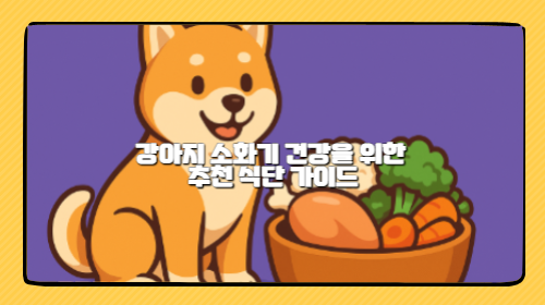 강아지 소화기 건강을 위한 추천 식단 관리 가이드