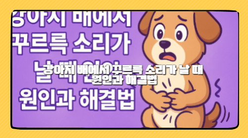 강아지 배에서 꾸르륵 소리가 날 때 원인과 해결법