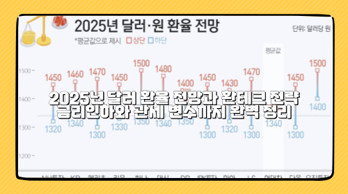 2025년 달러 환율 전망과 환테크 전략: 금리인하와 관세 변수까지 완벽 정리