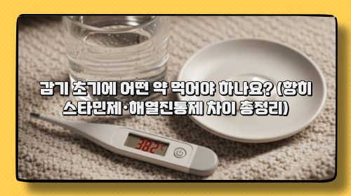 감기 초기에 어떤 약 먹어야 하나요? (항히스타민제·해열진통제 차이 총정리)