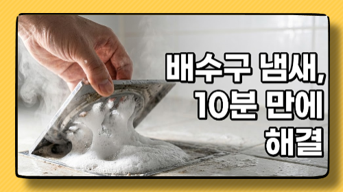 진짜 지독한 배수구 냄새, 이렇게 해결하세요 (실사용 후기)