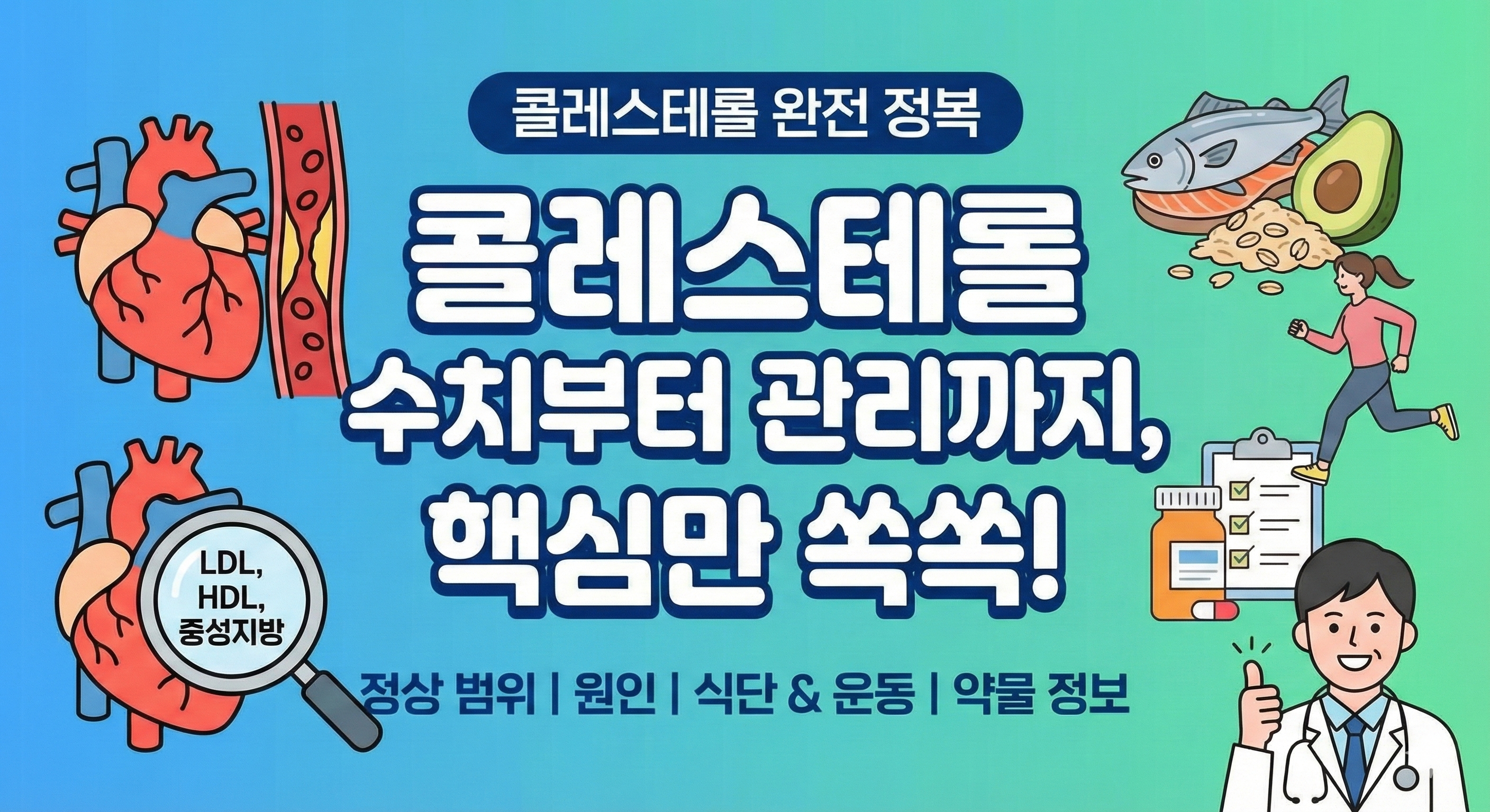 콜레스테롤 수치부터 관리까지, 핵심만 쏙쏙