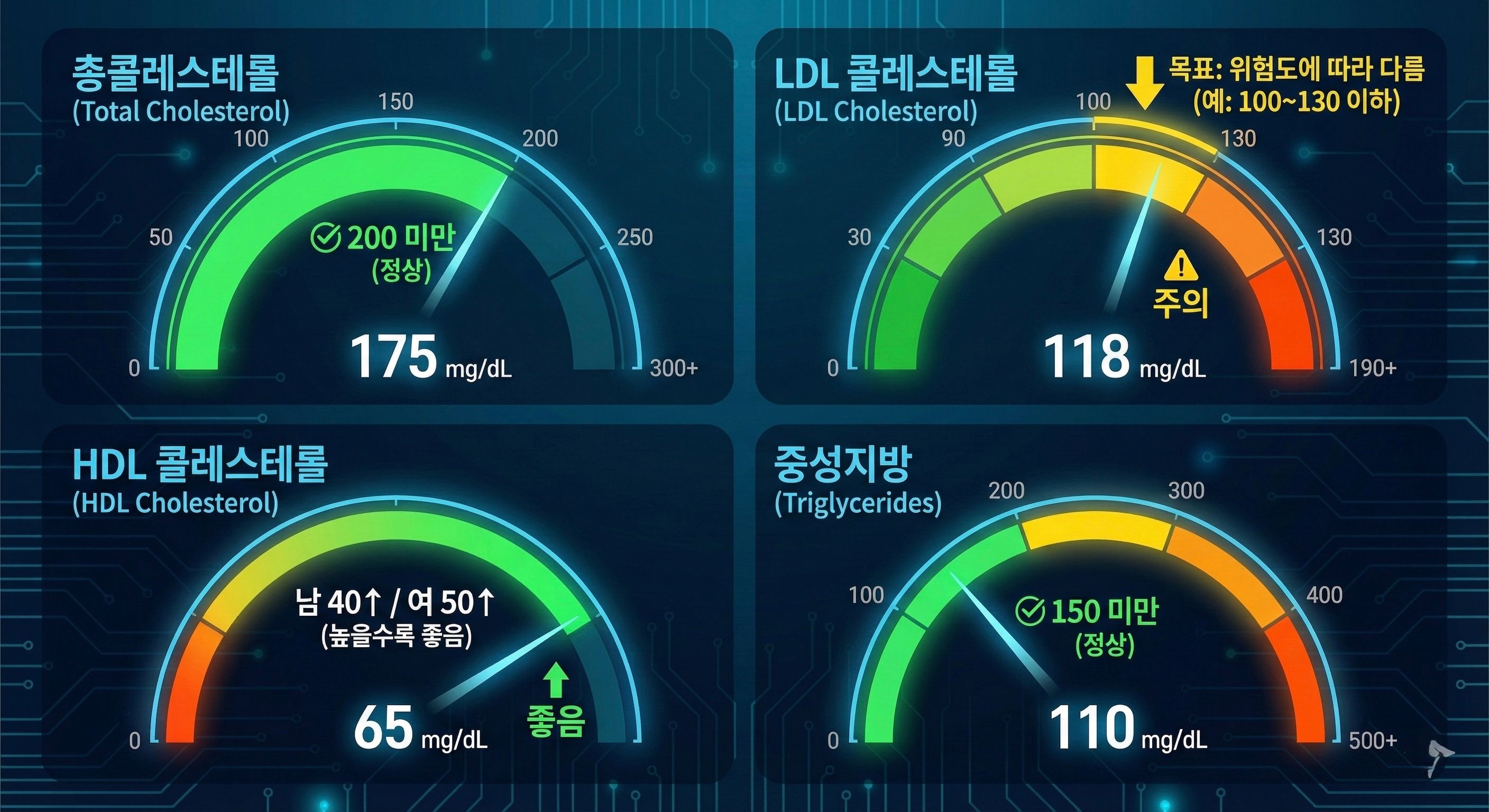 콜레스테롤 정상수치(기준 범위) 한눈에 보기