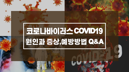 코로나바이러스(COVID19)의 원인과 증상 주의할 점, 신고방법과 안전수칙 Q&A