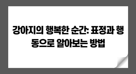 강아지의 행복한 순간: 표정과 행동으로 알아보는 방법