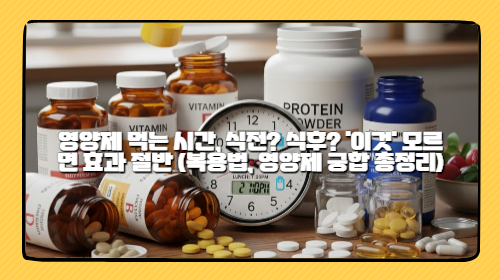 영양제 먹는 시간, 식전? 식후? '이것' 모르면 효과 절반 (복용법, 영양제 궁합 총정리)